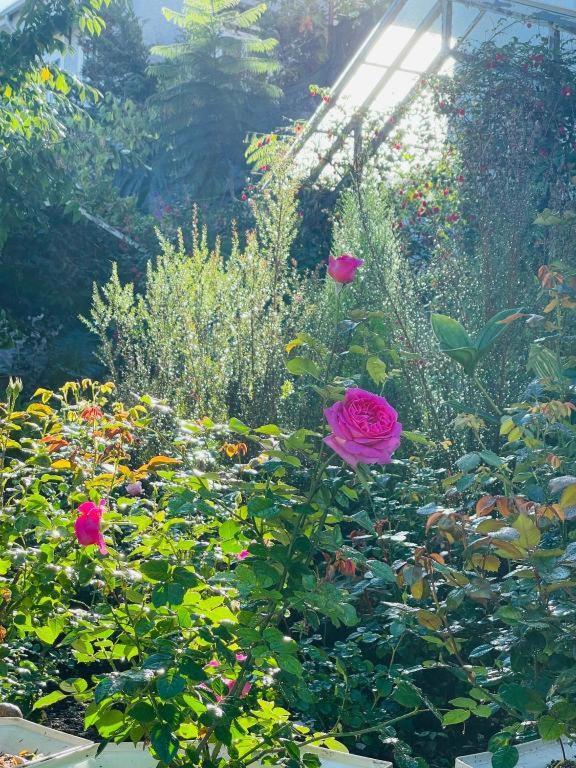 La Roza Dalat Boutique Hotel Εξωτερικό φωτογραφία